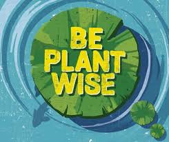 'Be Plant Wise' in yellow text on a green cartoon lily pad on water